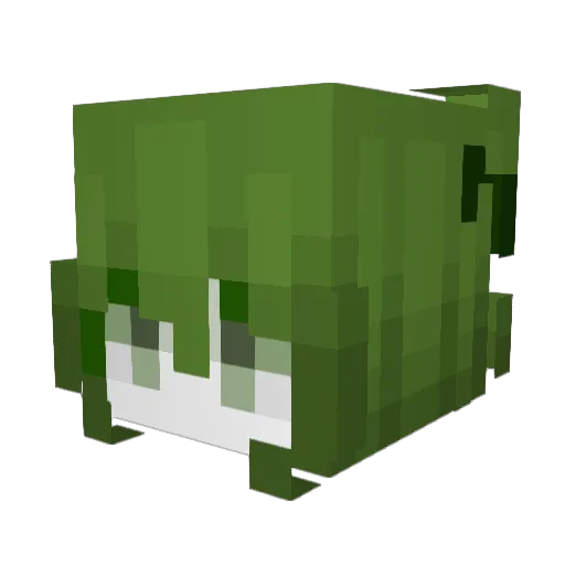 SquishyFishy__ Minecraft avatar head, 3D render