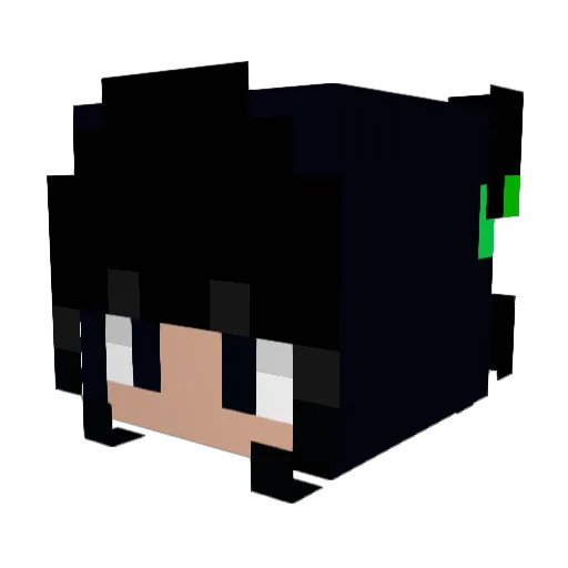 SquishyLight Minecraft avatar head, 3D render