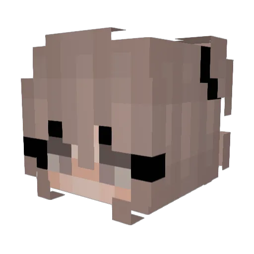 SquishyLilFishy Minecraft avatar head, 3D render