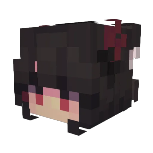 SquishyNarwhal Minecraft avatar head, 3D render