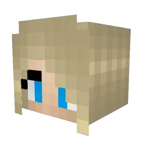 SquishySiamese Minecraft avatar head, 3D render
