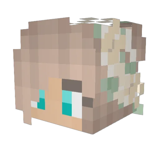 SquishySquashy94 Minecraft avatar head, 3D render