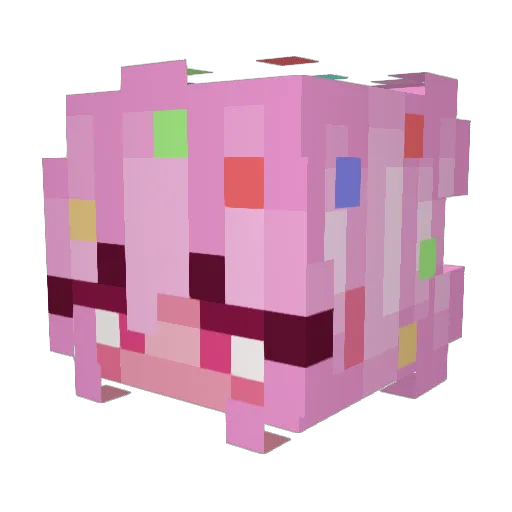 SquishySquiggles Minecraft avatar head, 3D render