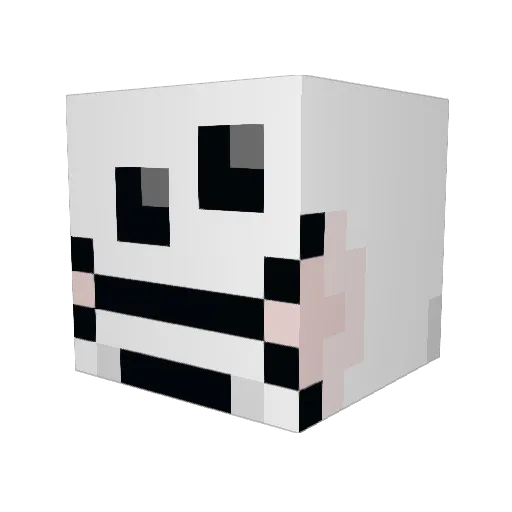 Squishy_Bear Minecraft avatar head, 3D render