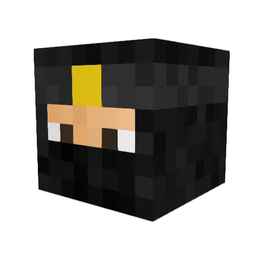 Squishy_Pickle69 Minecraft avatar head, 3D render