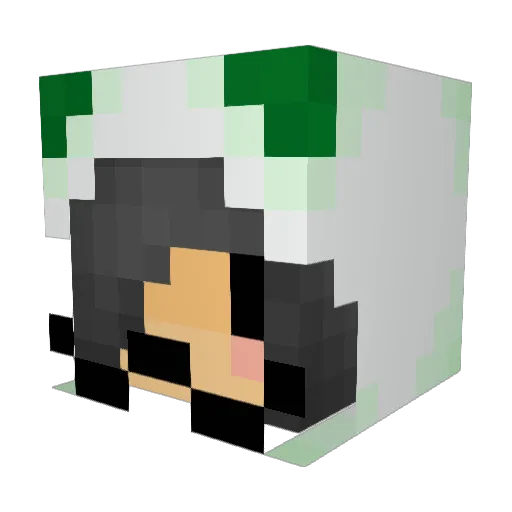 Squishy___Face Minecraft avatar head, 3D render