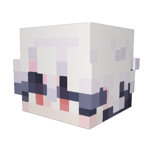 Squit8 Minecraft avatar head, 3D render