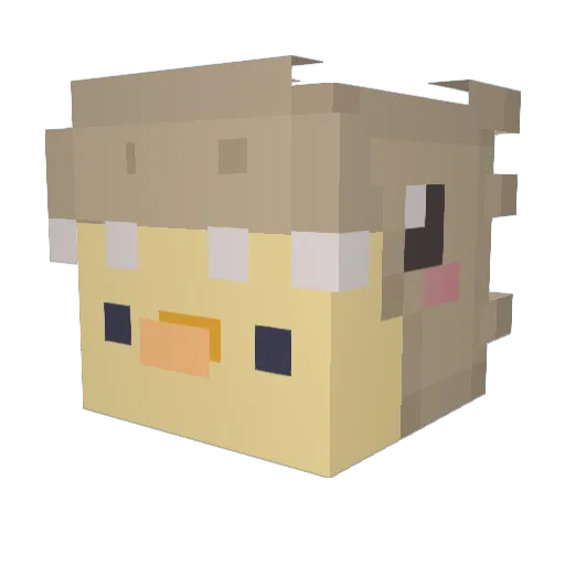 SquizzyWizzy Minecraft avatar head, 3D render