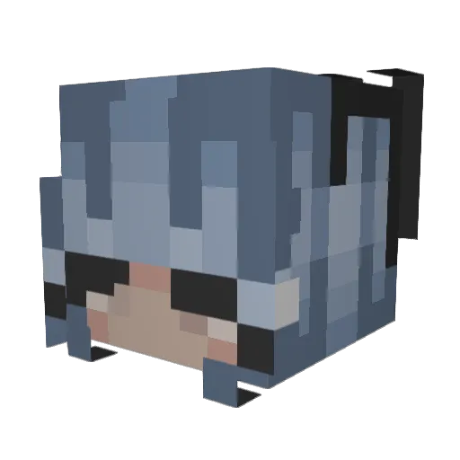 Squwirt Minecraft avatar head, 3D render