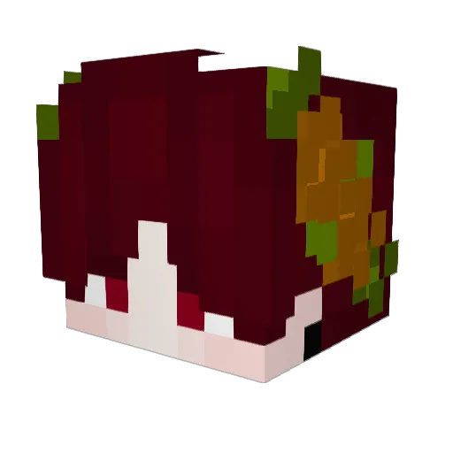 Sqverni111 Minecraft avatar head, 3D render