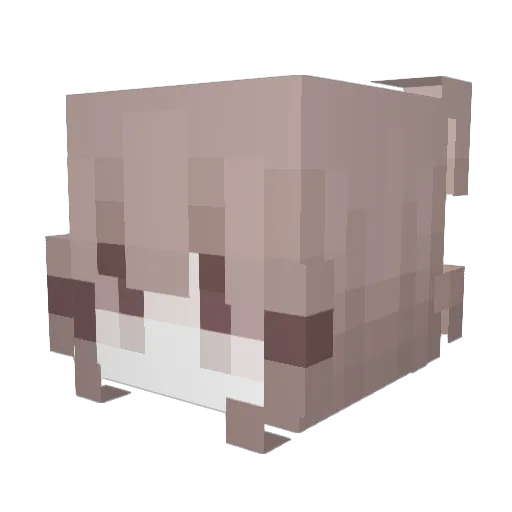 Sqweezzz Minecraft avatar head, 3D render