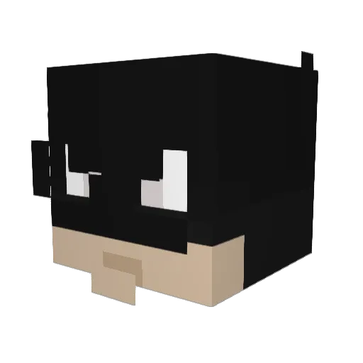 Sqwuirt Minecraft avatar head, 3D render