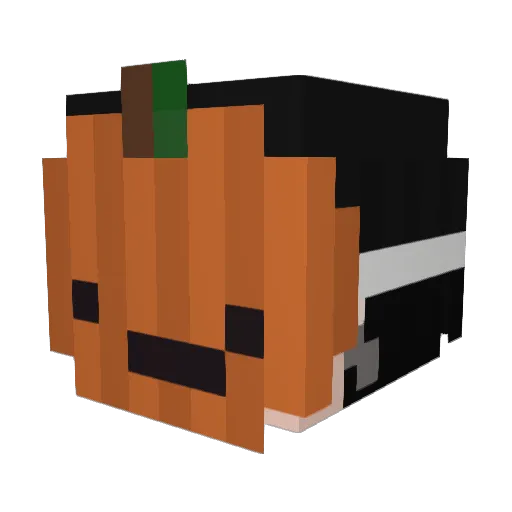 Sr1K Minecraft avatar head, 3D render