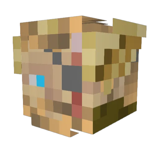 SrBaaty Minecraft avatar head, 3D render