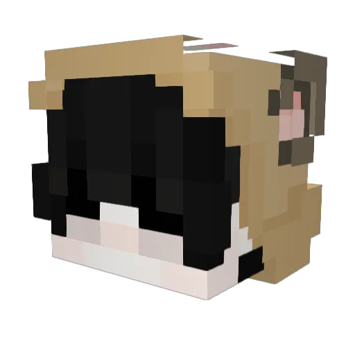 SrBear Minecraft avatar head, 3D render