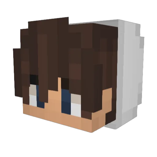 SrBranSon Minecraft avatar head, 3D render