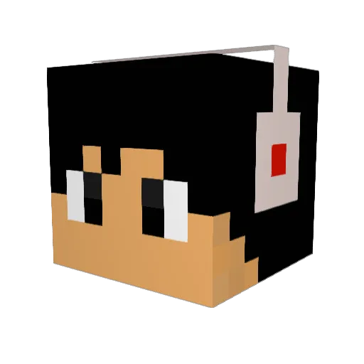 SrBraun Minecraft avatar head, 3D render