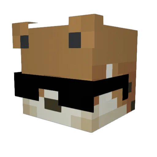 SrCabeza Minecraft avatar head, 3D render