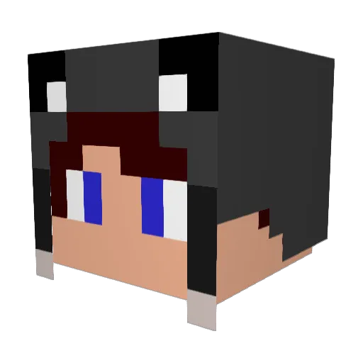 SrCoragem Minecraft avatar head, 3D render