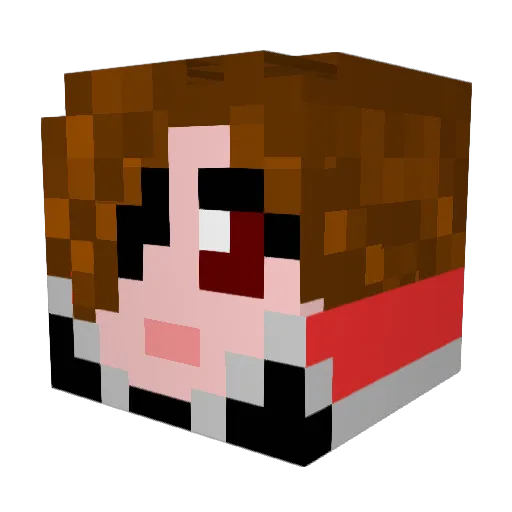 SrFl0ppy Minecraft avatar head, 3D render