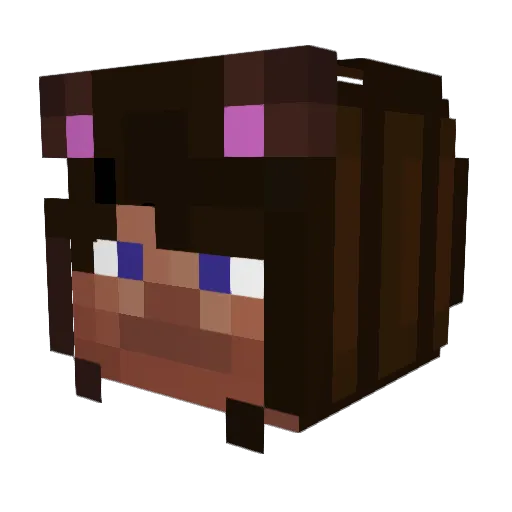 SrGalleta619 Minecraft avatar head, 3D render