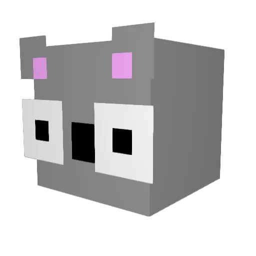 SrKoala_ Minecraft avatar head, 3D render