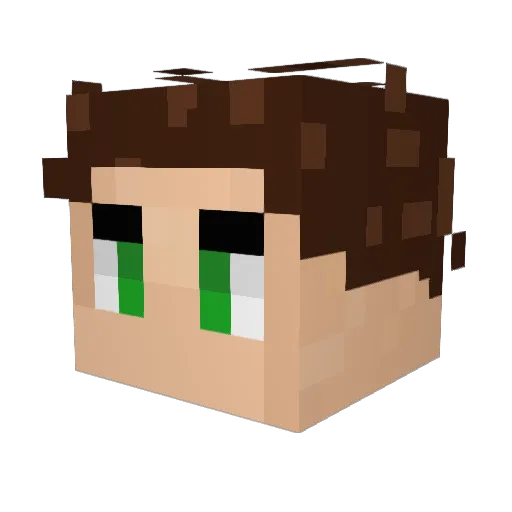 SrKraft119 Minecraft avatar head, 3D render