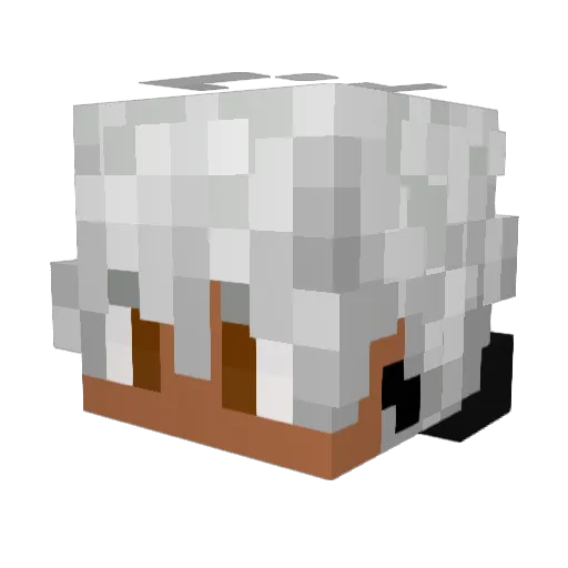 SrMatheuz Minecraft avatar head, 3D render