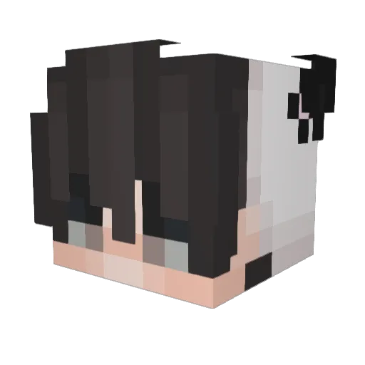 SrMaximo_28 Minecraft avatar head, 3D render