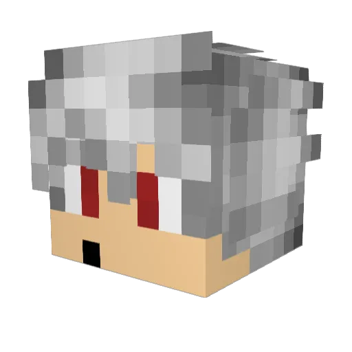 SrMxw21 Minecraft avatar head, 3D render