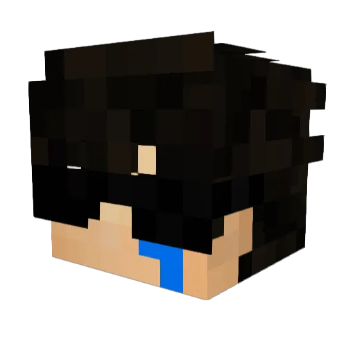 SrNettoo_ Minecraft avatar head, 3D render