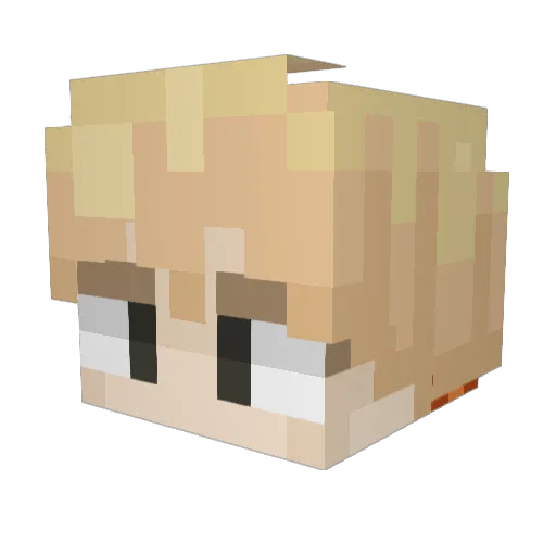 SrNoob_ Minecraft avatar head, 3D render