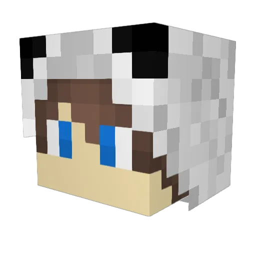 SrPandita25 Minecraft avatar head, 3D render