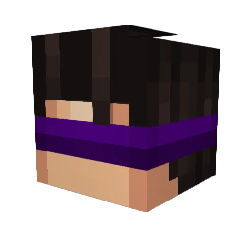 SrPinguXD Minecraft avatar head, 3D render