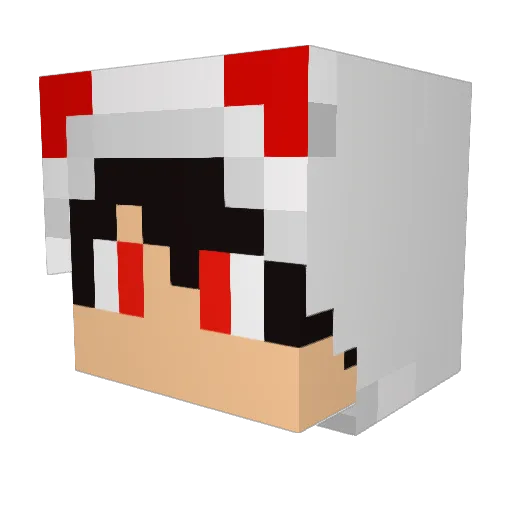 SrRaposa Minecraft avatar head, 3D render