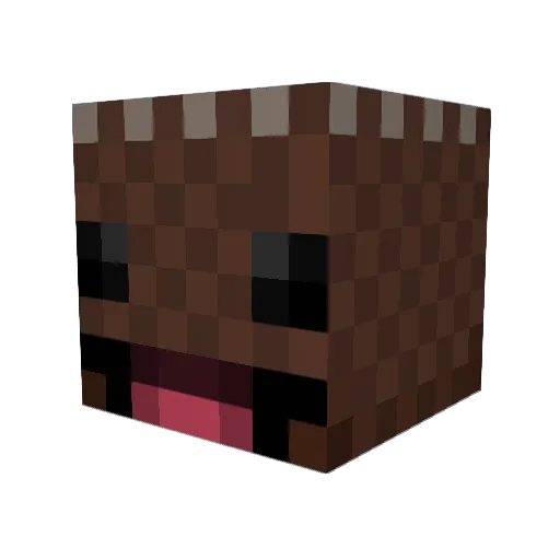 SrSebasproo Minecraft avatar head, 3D render