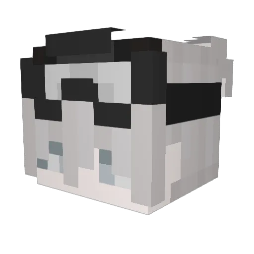 SrShinex Minecraft avatar head, 3D render