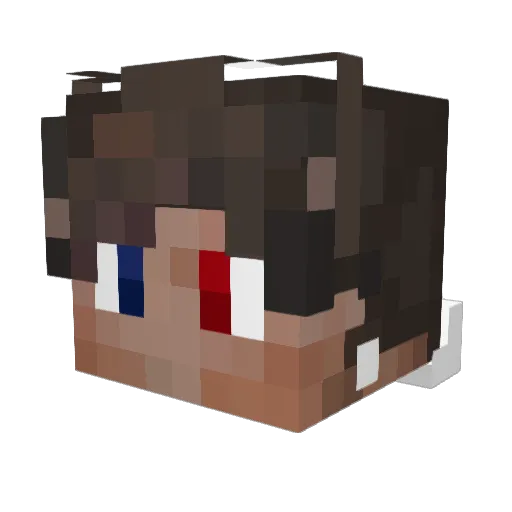 SrSlooden Minecraft avatar head, 3D render