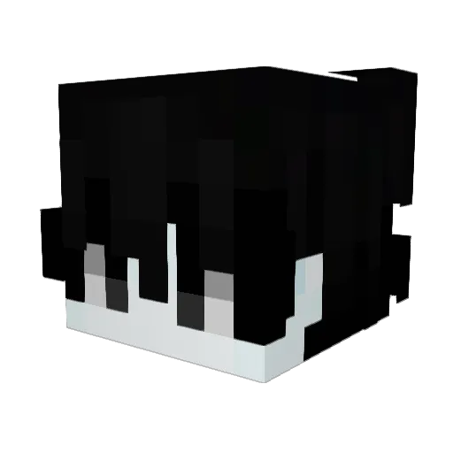 SrSolon Minecraft avatar head, 3D render