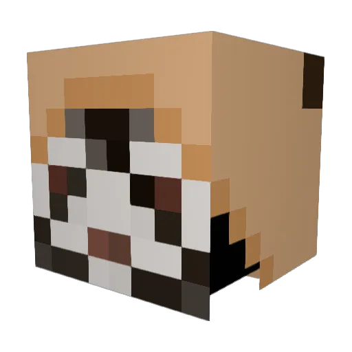 SrSpawning Minecraft avatar head, 3D render