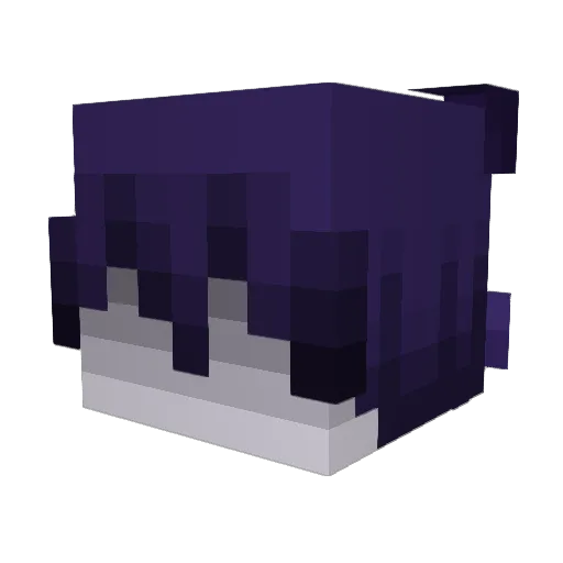 SrSub Minecraft avatar head, 3D render