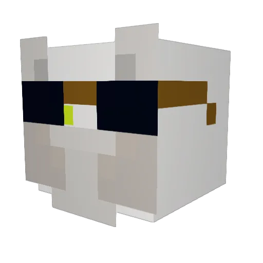 SrTombola Minecraft avatar head, 3D render