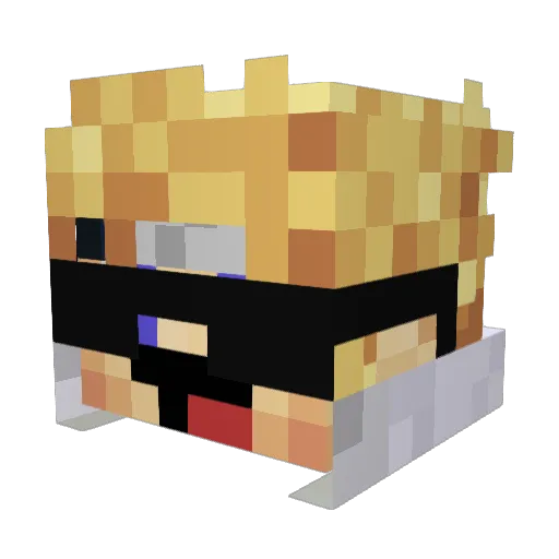 SrWizzardJR Minecraft avatar head, 3D render