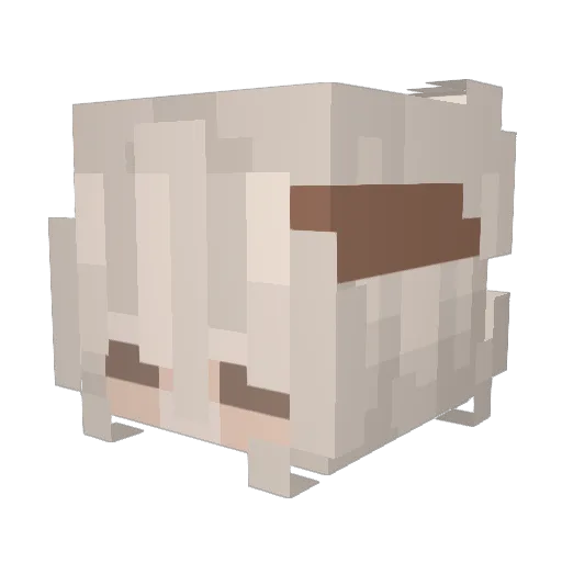SrYash1101 Minecraft avatar head, 3D render