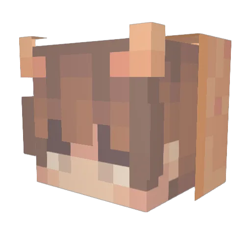 Sr_FroyJT3 Minecraft avatar head, 3D render