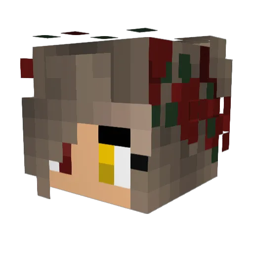 Sr_H37 Minecraft avatar head, 3D render