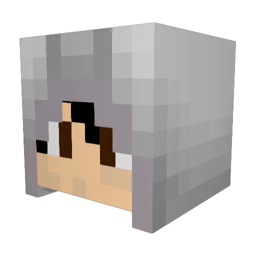 Sr_Juan15 Minecraft avatar head, 3D render
