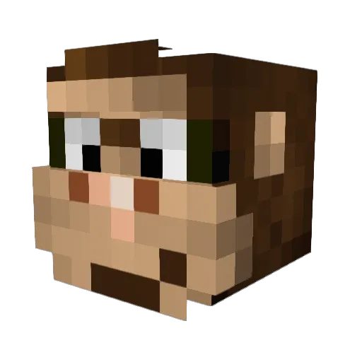 Sr_MonkeyBoss Minecraft avatar head, 3D render