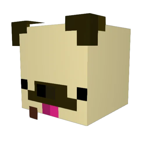 Sr_Perro123 Minecraft avatar head, 3D render