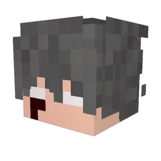 Sr_TraaP Minecraft avatar head, 3D render